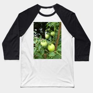 Tomatoes Tree Baseball T-Shirt